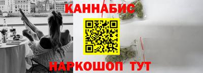 сатива Новодвинск