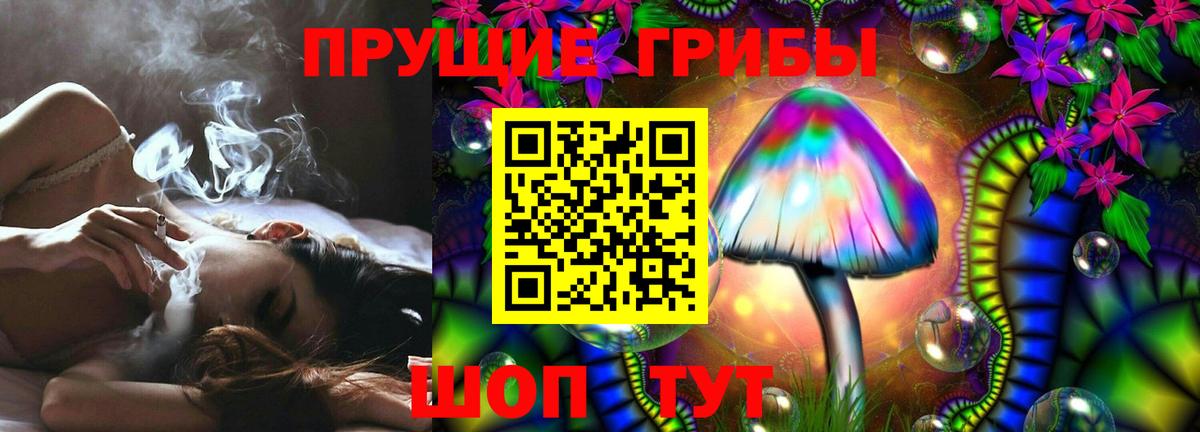 Сунжа  Галлюциногенные грибы мицелий  Галлюциногенные грибы Psilocybine cubensis  Вход с VPN 