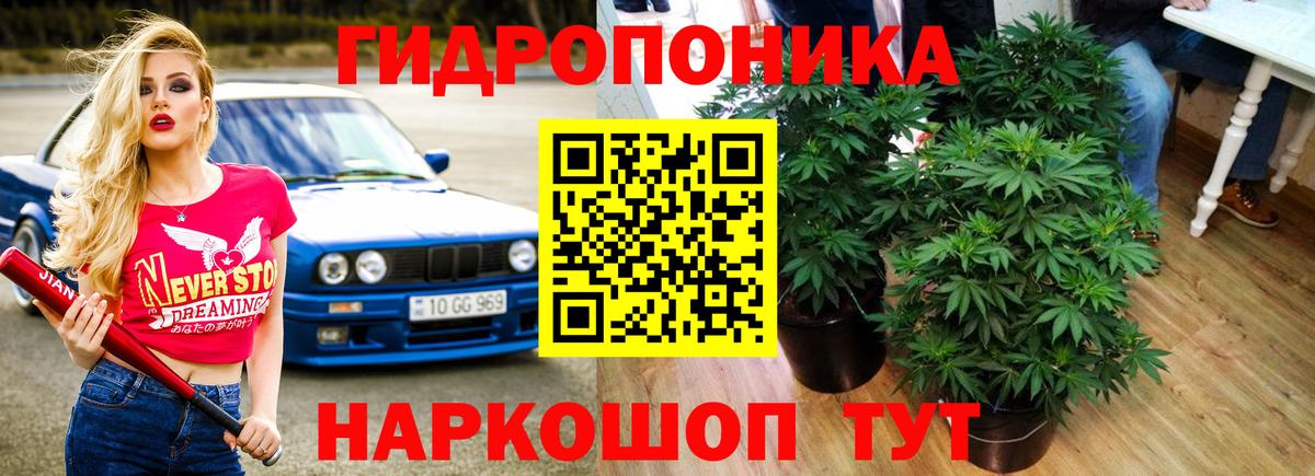 МАРИХУАНА гибрид  Конопля OG Kush  Вход с VPN  Сунжа 