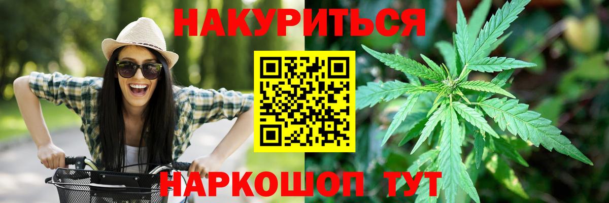 Каннабис конопля Сунжа